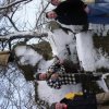 Winterfuetterung 2006